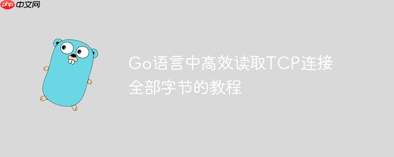 go语言中高效读取tcp连接全部字节的教程
