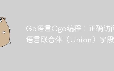 Go语言Cgo编程：正确访问C语言联合体（Union）字段