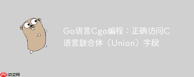 Go语言Cgo编程：正确访问C语言联合体（Union）字段