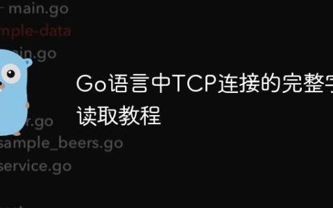 Go语言中TCP连接的完整字节读取教程