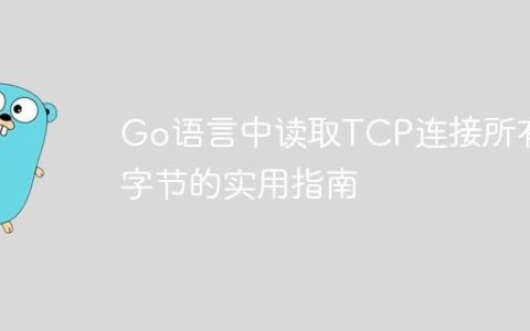 Go语言中读取TCP连接所有字节的实用指南