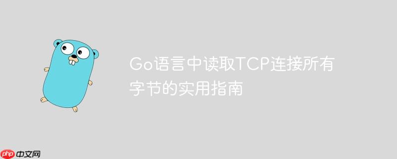 go语言中读取tcp连接所有字节的实用指南