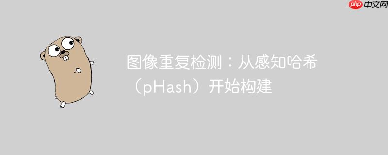 图像重复检测:从感知哈希(pHash)开始构建
