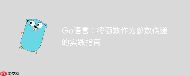 Go语言:将函数作为参数传递的实践指南