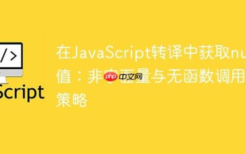 在JavaScript转译中获取null值：非字面量与无函数调用的策略
