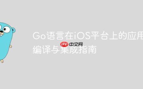 Go语言在iOS平台上的应用：编译与集成指南