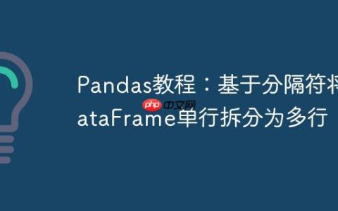 Pandas教程：基于分隔符将DataFrame单行拆分为多行
