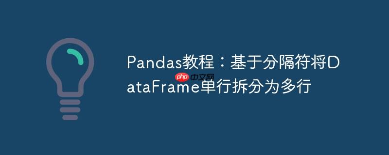 Pandas教程:基于分隔符将DataFrame单行拆分为多行