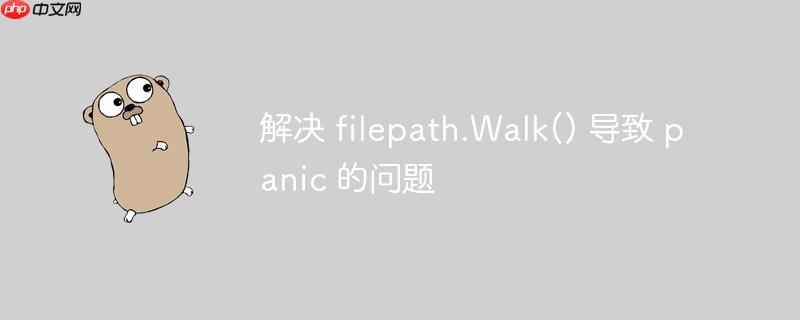 解决 filepath.walk() 导致 panic 的问题