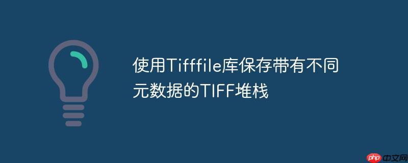 使用tifffile库保存带有不同元数据的tiff堆栈