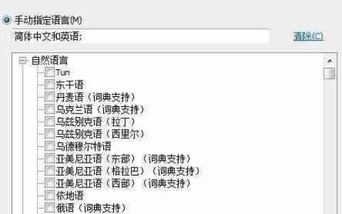 创建语言组：ABBYY FineReader 12指南