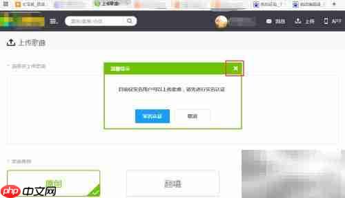 音乐家成长之路