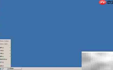 Win Server 2003任务栏自动隐藏设置