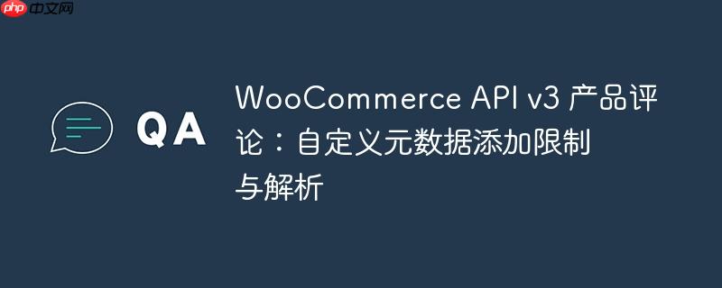 WooCommerce API v3 产品评论:自定义元数据添加限制与解析