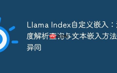 Llama Index自定义嵌入：深度解析查询与文本嵌入方法的异同