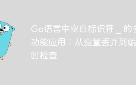 Go语言中空白标识符 _ 的多功能应用：从变量丢弃到编译时检查