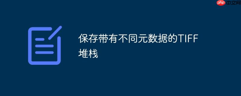 保存带有不同元数据的tiff堆栈