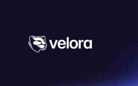 Velora(VLR)币是什么?怎么样?Velora项目概述,代币经济与未来发展介绍