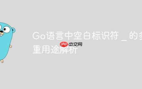 Go语言中空白标识符 _ 的多重用途解析