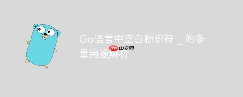 Go语言中空白标识符 _ 的多重用途解析