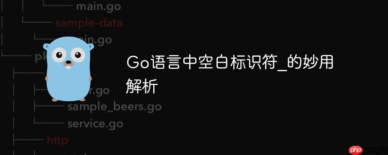 Go语言中空白标识符_的妙用解析