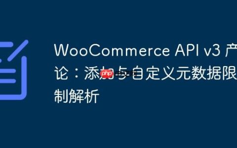 WooCommerce API v3 产品评论：添加与自定义元数据限制解析