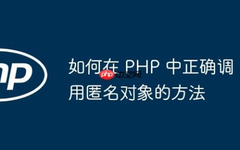 如何在 PHP 中正确调用匿名对象的方法