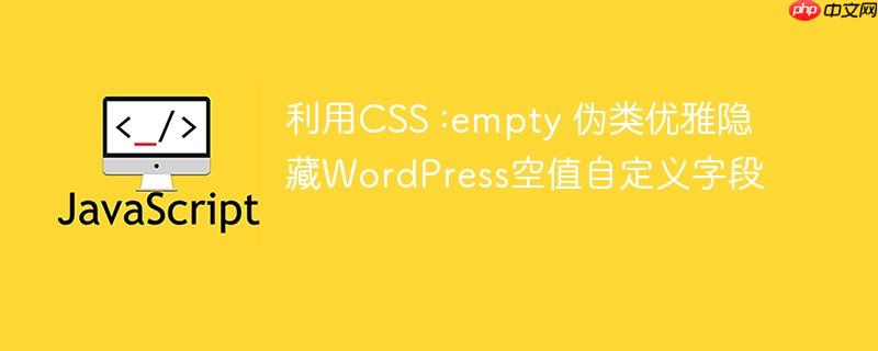 利用CSS :empty 伪类优雅隐藏WordPress空值自定义字段