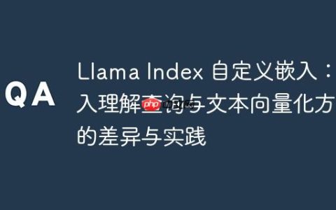Llama Index 自定义嵌入：深入理解查询与文本向量化方法的差异与实践