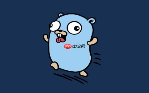 Golang微服务版本管理与灰度发布方法