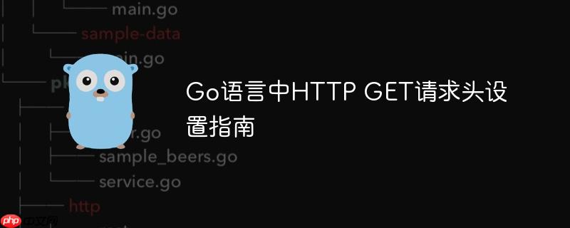 Go语言中HTTP GET请求头设置指南