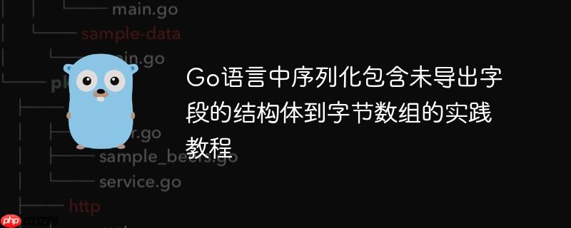 Go语言中序列化包含未导出字段的结构体到字节数组的实践教程
