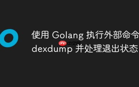 使用 Golang 执行外部命令 dexdump 并处理退出状态
