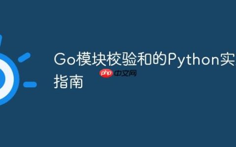 Go模块校验和的Python实现指南