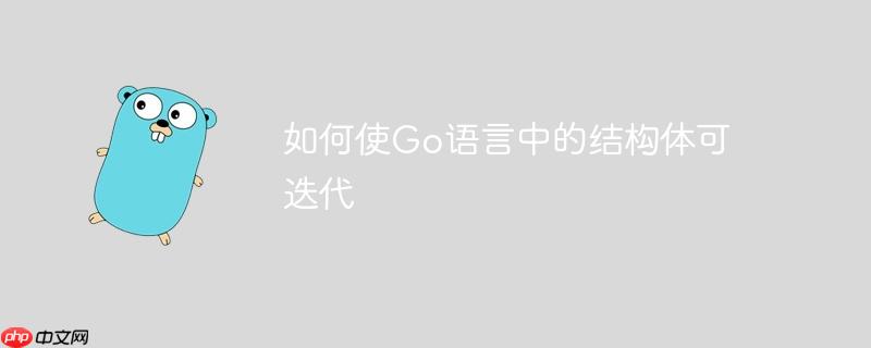 如何使go语言中的结构体可迭代