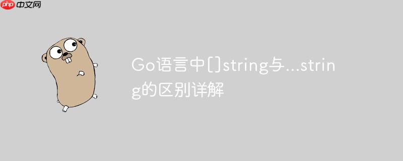 go语言中[]string与...string的区别详解