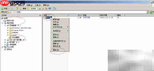 Win Server 2003隐藏文件设置