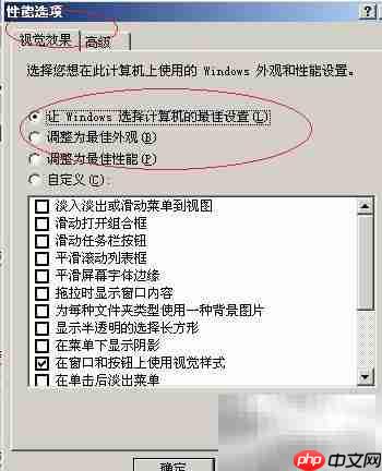 Win Server 2003视觉效果设置
