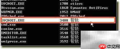 svchost.exe进程解析