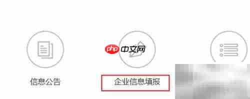 新企业年报制作指南