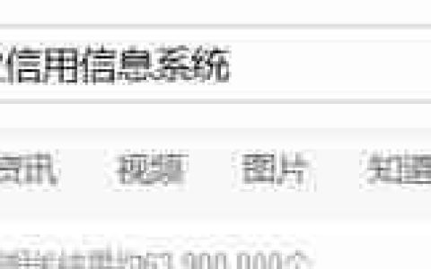 新企业年报制作指南