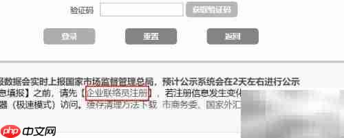 新企业年报制作指南