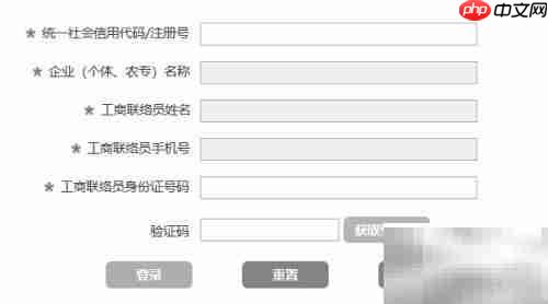 新企业年报制作指南