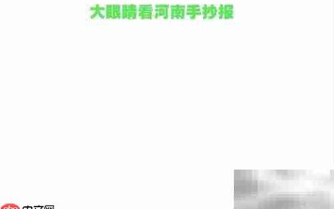 大眼睛看河南