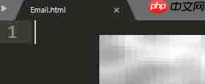 HTML email输入类型详解