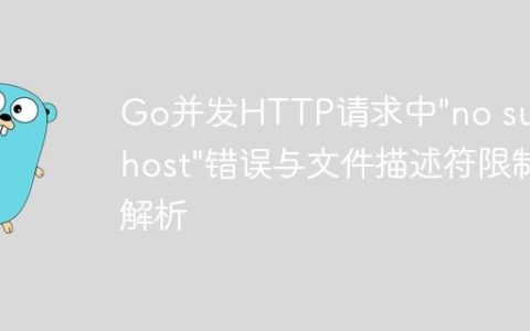 Go并发HTTP请求中"no such host"错误与文件描述符限制解析
