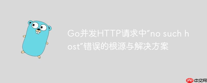 Go并发HTTP请求中“no such host”错误的根源与解决方案