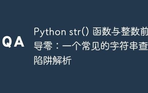 Python str() 函数与整数前导零：一个常见的字符串查找陷阱解析