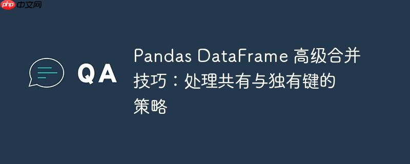 Pandas DataFrame 高级合并技巧:处理共有与独有键的策略