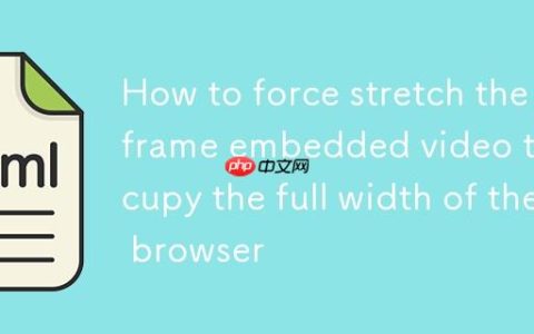 如何强制拉伸iframe内嵌视频以占据浏览器全宽